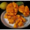 The world best fresh t...