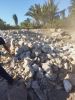 aluminum ingots, fresh...