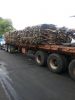 Dry hides and salted h...