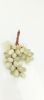greem marble onyx grapes