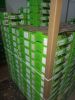 Fresh Kenyan Hass Avoc...