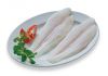 FROZEN PANGASIUS FILLETS