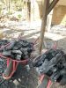 Tamarind Wood Charcoal