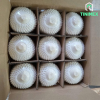 Vietnam Fresh Coconut