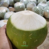 Vietnam Siam Green Hus...
