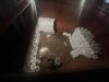 Gypsum Powder
