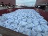 Gypsum Powder