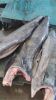 Frozen Marlin Fish