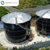 China Manufacturer Fir...