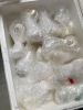 Elegant Handmade Seashell Cocktail Glasses Perfect for Beach Bars, Gifts & Coastal Living Vietnam