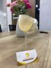 Elegant Handmade Seashell Cocktail Glasses Perfect for Beach Bars, Gifts & Coastal Living Vietnam