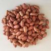 Peanuts from India