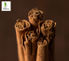ALBA Grade Ceylon Cinnamon Sticks - Hand-Selected Ultra-Thin Quills from Sri Lanka