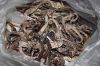 Dried Sea Horse Export...