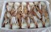 Premium Frozen Crabs E...