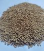CUMIN SEEDS, CORRIANDE...