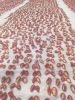 Sun dried tomatoes and...