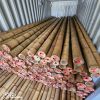 High Quality Natural T...