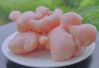 Pickled Ginger High Qu...