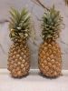 Premium Queen Pineappl...