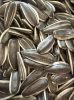 sunflower seeds