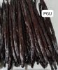 Planifolia 
