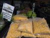 CORN KERNELS