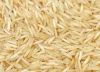 1401  (creamy sella, s...