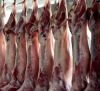 meat