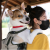 ABUBA 3 - Premium Dog ...