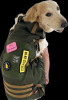 ABUBA 3 - Premium Dog ...