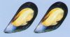Mussels (with or w/o s...