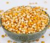 yellow corn ?maize