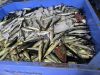 Frozen pacific mackerel