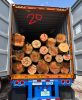 Southern Yellow Pine