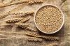 Clean Dry Wheat Grain ...