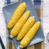 Bulk Maize Corn Supply...