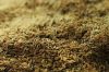 High Standard Wheat Gr...