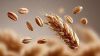 High Yield Wheat Grain...