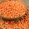 High Grade Dried Lenti...