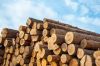 High Durability Timber...