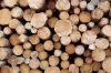 Premium Quality Timber...