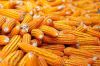 High Energy Maize Feed...