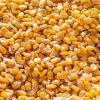 Clean and Dried Corn F...