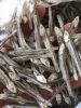 Premium Dried Anchovy ...