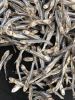 Premium Dried Anchovy ...