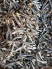 Premium Dried Anchovy ...