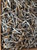 Premium Dried Anchovy ...