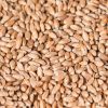 Milling wheat 12,5% pr...