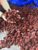Blast frozen strawberries